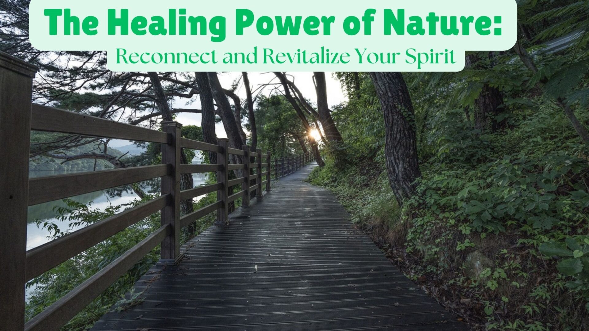 The Healing Power of Nature: Reconnect and Revitalize Your Spirit