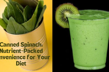 Canned Spinach: Nutrient-Packed Convenience for Your Diet