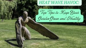 Heat Wave Havoc: Top Tips to Keep Your Garden Green and Healthy