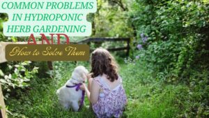 Common Problems in Hydroponic Herb Gardening and How to Solve Them