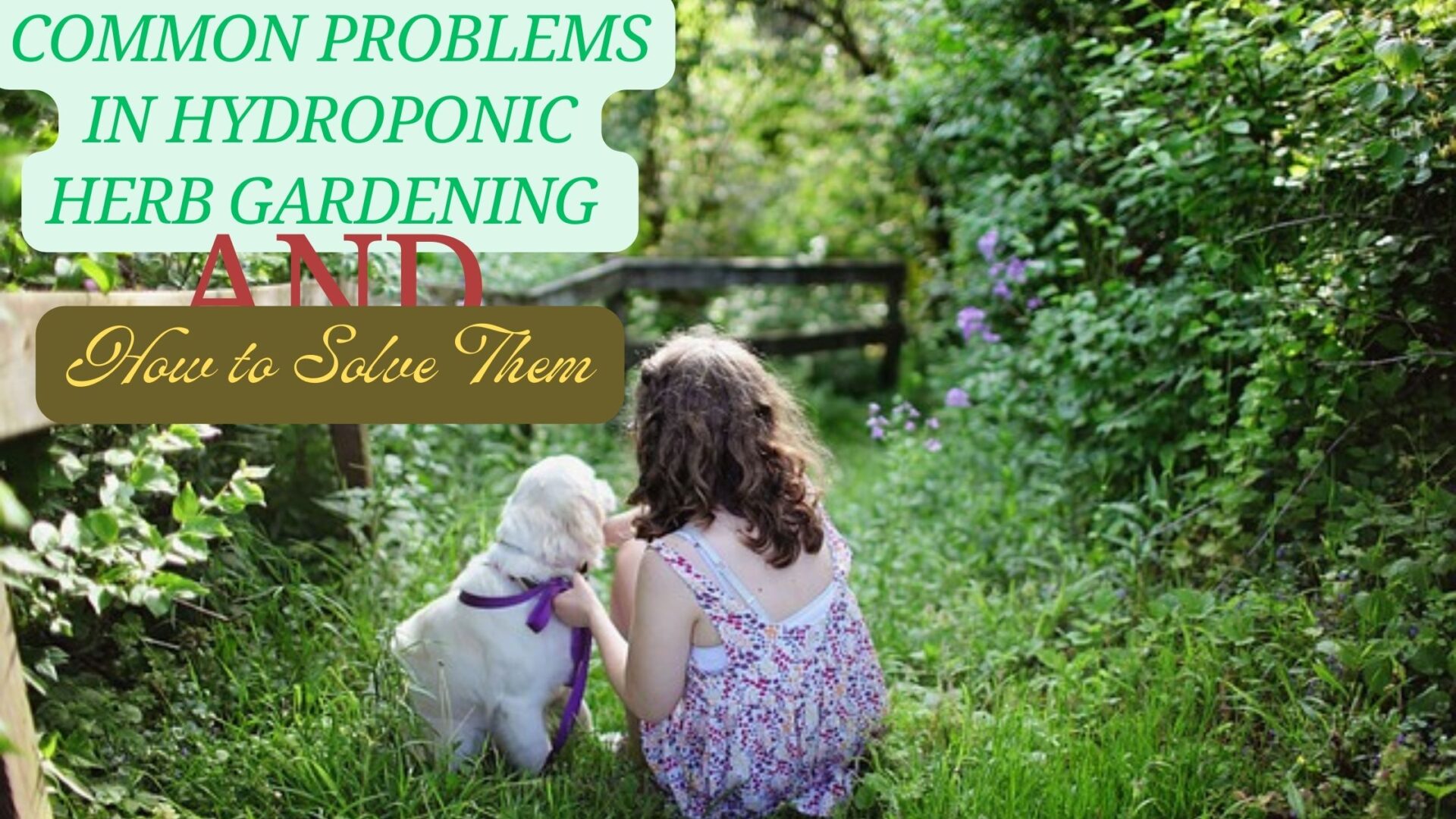 Common Problems in Hydroponic Herb Gardening and How to Solve Them