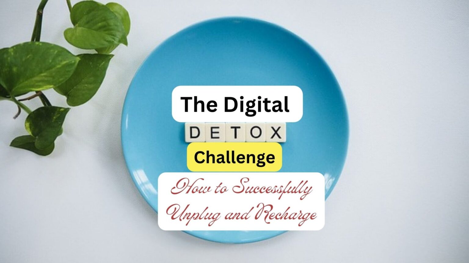 The Digital Detox Challenge: How to Successfully Unplug and Recharge