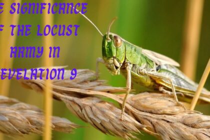 The Significance of the Locust Army in Revelation 9