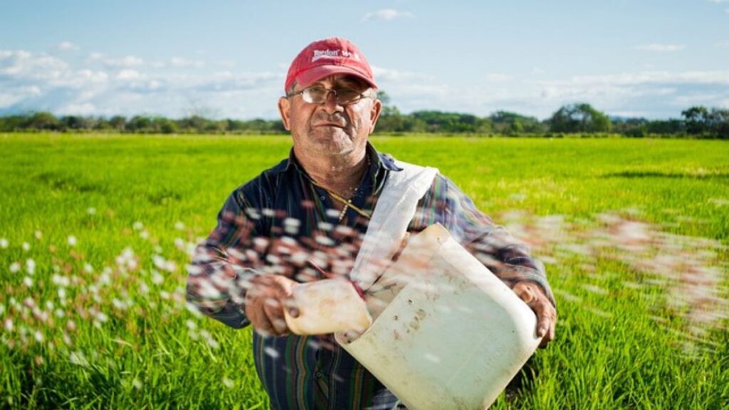 Advanced Crop Cultivation: Thriving in a Drought with Water-Efficient Techniques