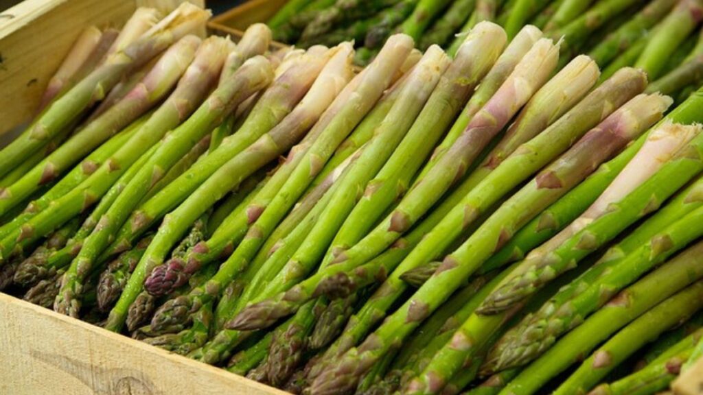 Air Fryer Asparagus: Quick and Nutritious Recipes for Busy Weeknights