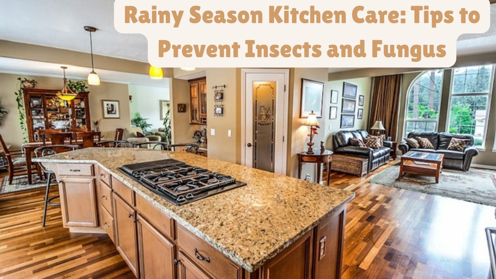 Rainy Season Kitchen Care: Tips to Prevent Insects and Fungus