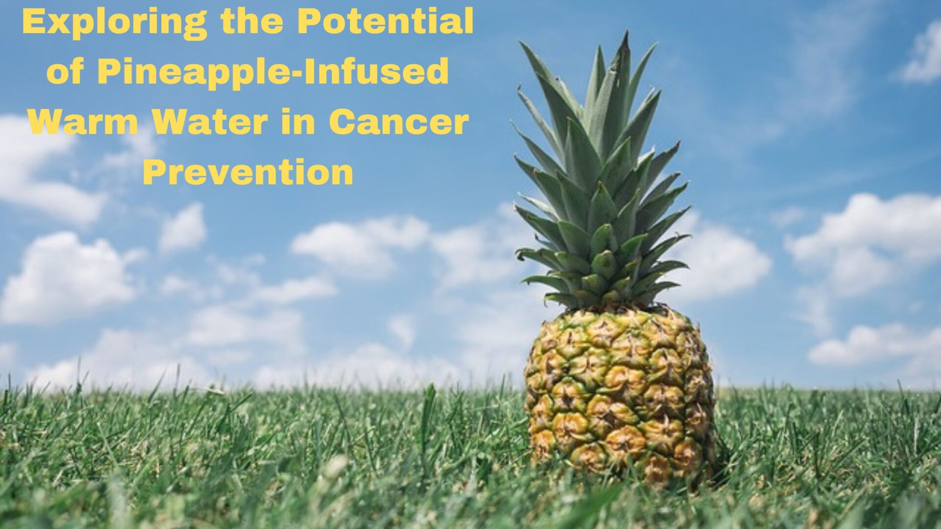 Exploring the Potential of Pineapple-Infused Warm Water in Cancer Prevention