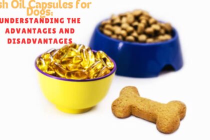 Fish Oil Capsules for Dogs: Understanding the Advantages and Disadvantages