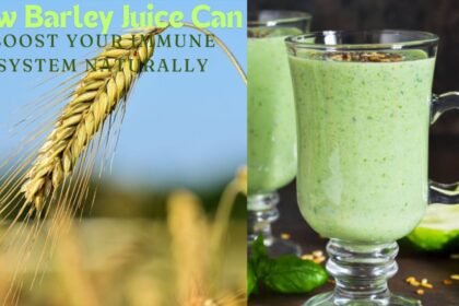 How Barley Juice Can Boost Your Immune System Naturally