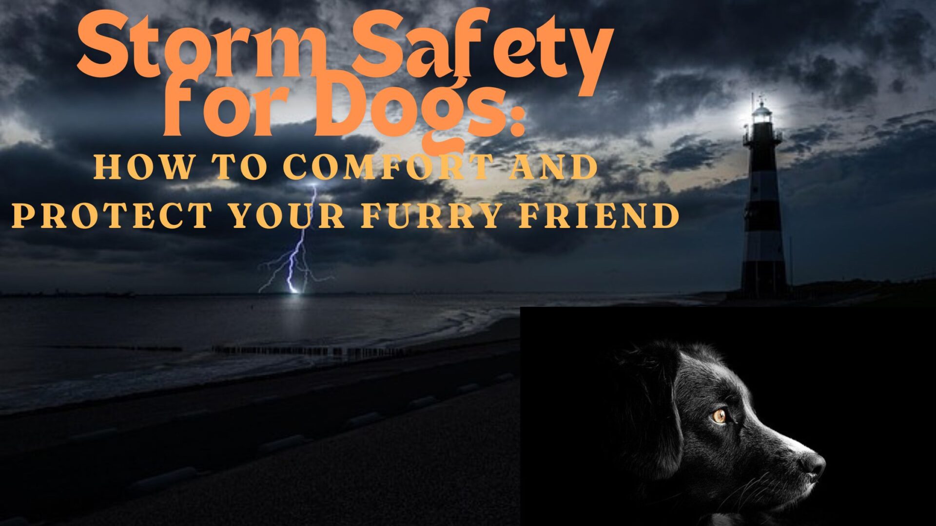 Storm Safety for Dogs: How to Comfort and Protect Your Furry Friend