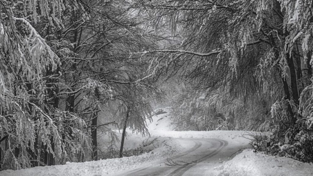 Snowy and Icy Roads: How to Drive Safely This Winter