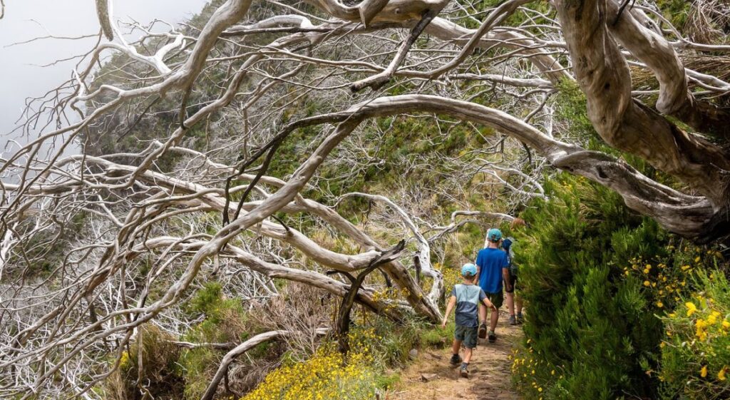 Making Memories: Trekking with Family in the Rainy Season