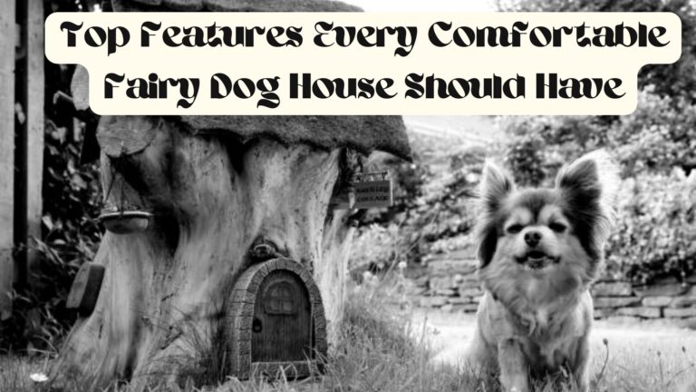 Top Features Every Comfortable Fairy Dog House Should Have