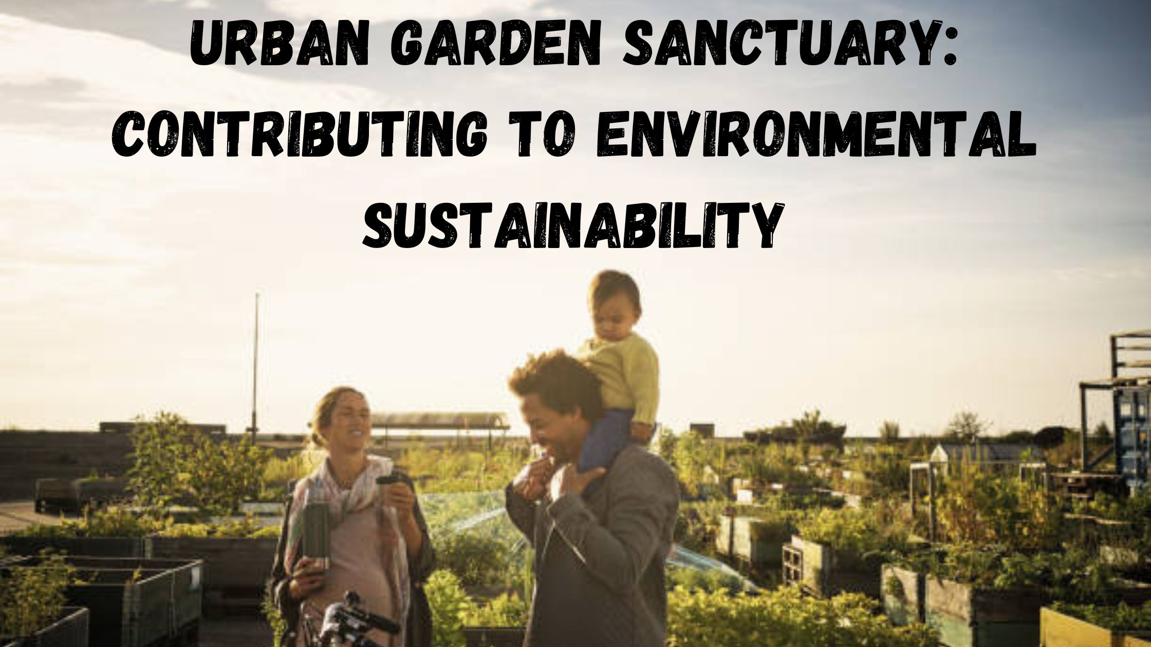 Urban Garden Sanctuary: Contributing to Environmental Sustainability