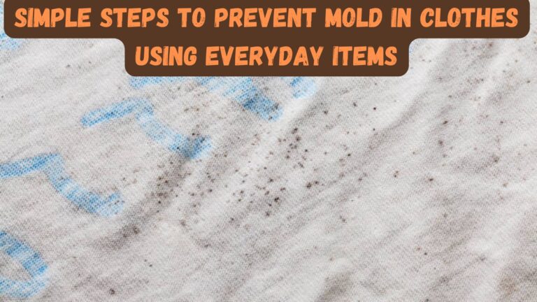 Simple Steps to Prevent Mold in Clothes Using Everyday Items