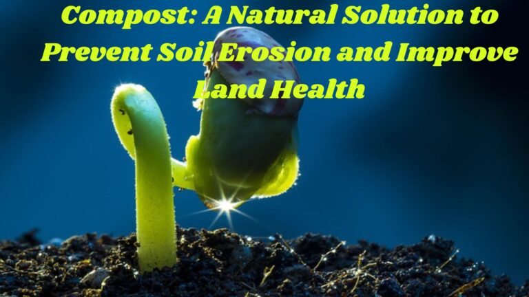 Compost: A Natural Solution to Prevent Soil Erosion and Improve Land Health