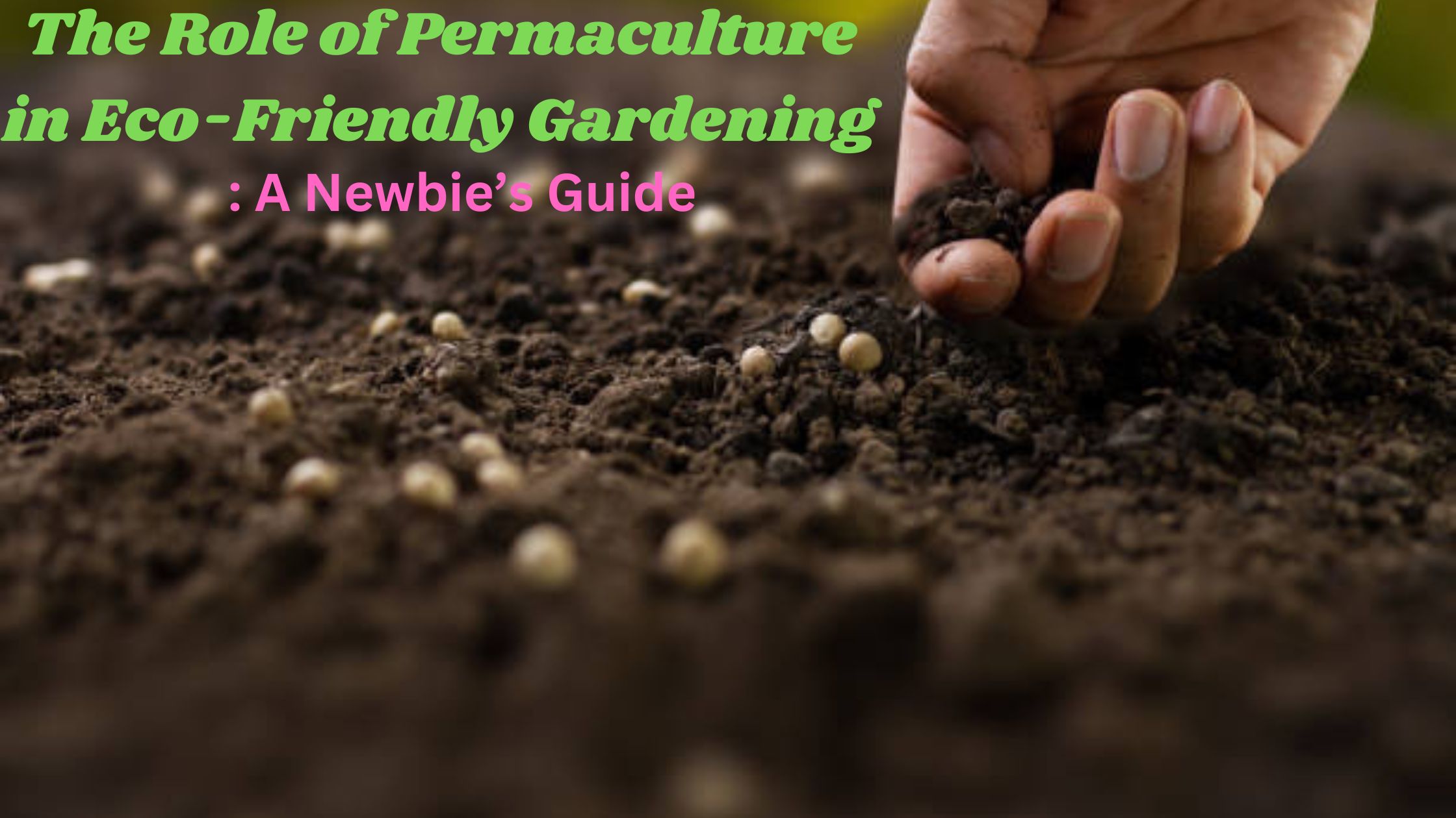 The Role of Permaculture in Eco-Friendly Gardening: A Newbie’s Guide