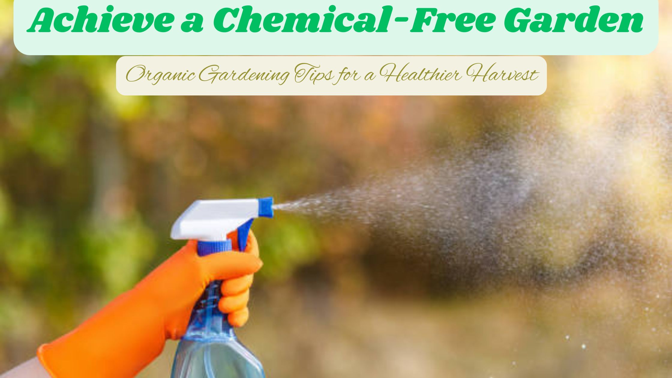 Achieve a Chemical-Free Garden: Organic Gardening Tips for a Healthier Harvest