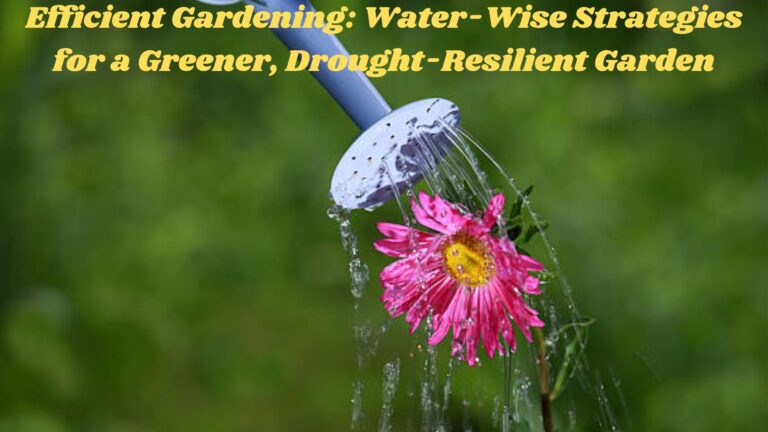 Efficient Gardening: Water-Wise Strategies for a Greener, Drought-Resilient Garden