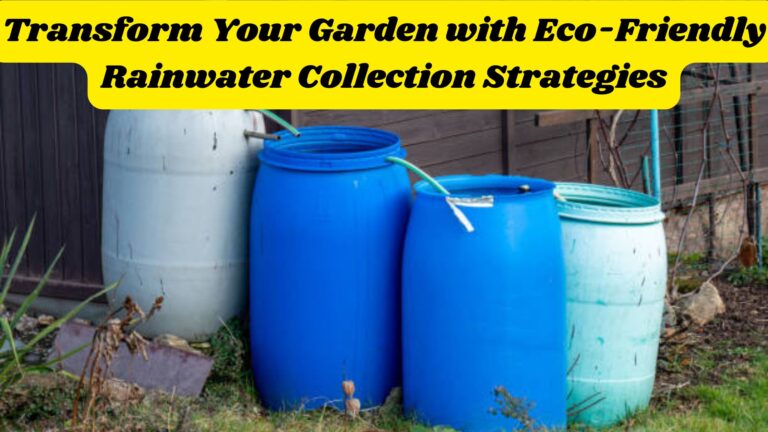 Transform Your Garden with Eco-Friendly Rainwater Collection Strategies