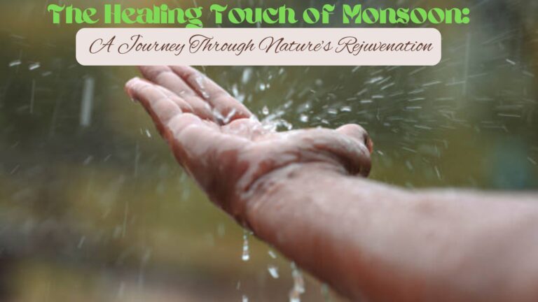 The Healing Touch of Monsoon: A Journey Through Nature’s Rejuvenation