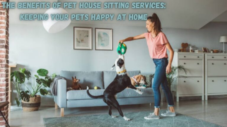 The Benefits of Pet House Sitting Services: Keeping Your Pets Happy at Home