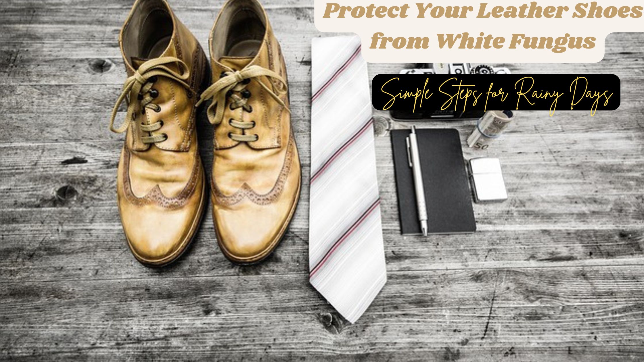 Protect Your Leather Shoes from White Fungus: Simple Steps for Rainy Days