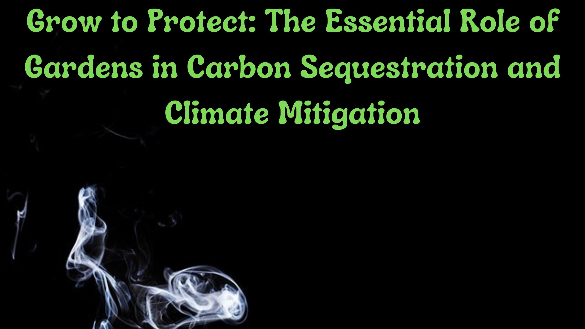 Grow to Protect: The Essential Role of Gardens in Carbon Sequestration and Climate Mitigation