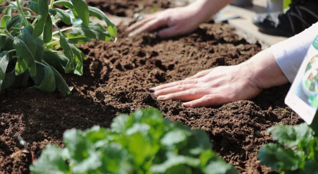 Compost: A Natural Solution to Prevent Soil Erosion and Improve Land Health