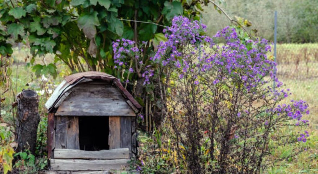 Top Features Every Comfortable Fairy Dog House Should Have