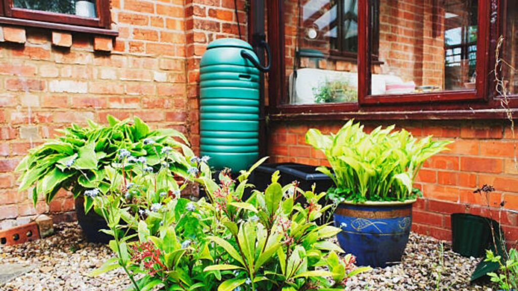 Transform Your Garden with Eco-Friendly Rainwater Collection Strategies