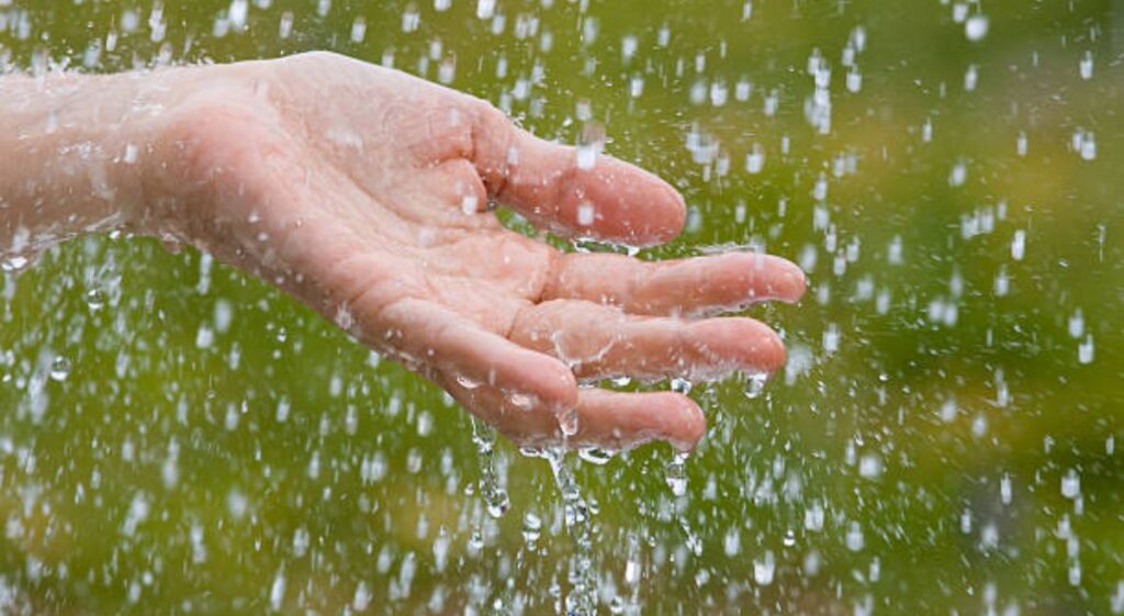 The Healing Touch of Monsoon: A Journey Through Nature’s Rejuvenation