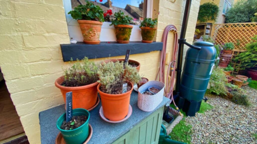 Transform Your Garden with Eco-Friendly Rainwater Collection Strategies