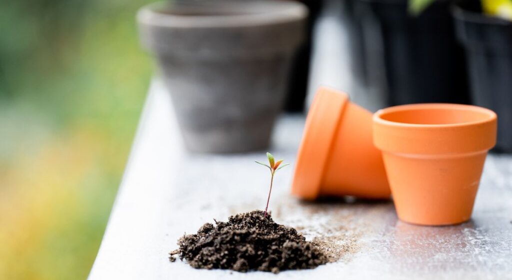 The Ultimate Guide to Selecting the Perfect Soil for a Flourishing Flower Garden