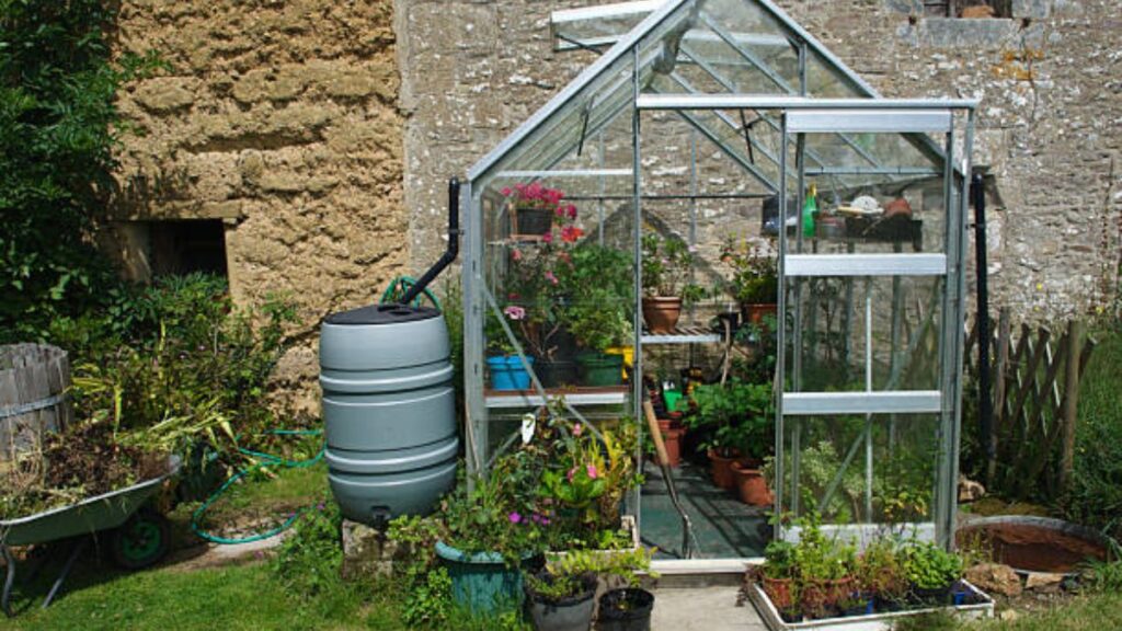 Transform Your Garden with Eco-Friendly Rainwater Collection Strategies