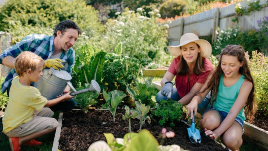 Efficient Gardening: Water-Wise Strategies for a Greener, Drought-Resilient Garden