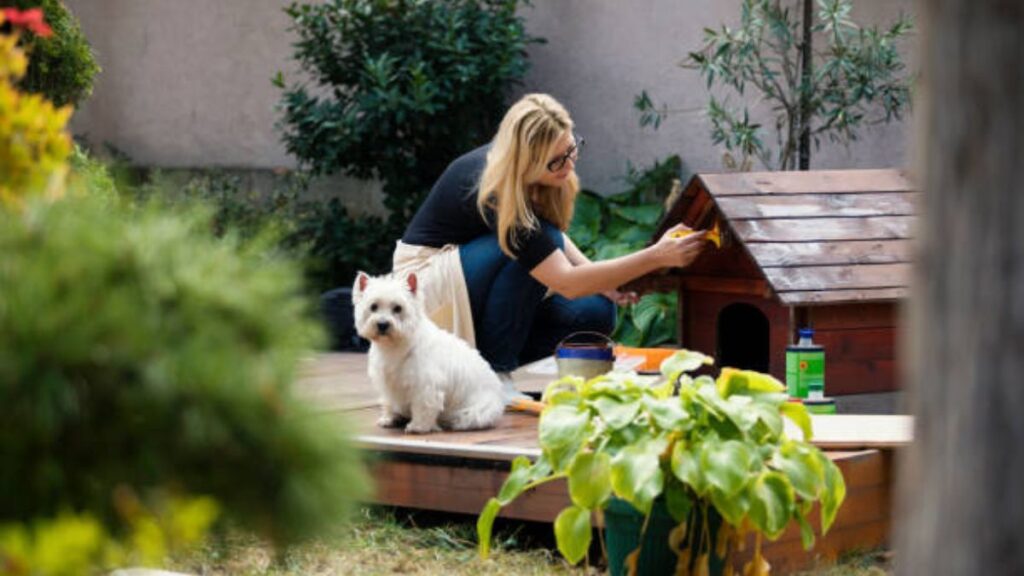 Garden Dog House Guide: Building a Natural Haven for Your Pet