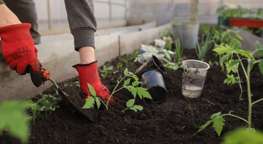 The Ultimate Guide to Selecting the Perfect Soil for a Flourishing Flower Garden