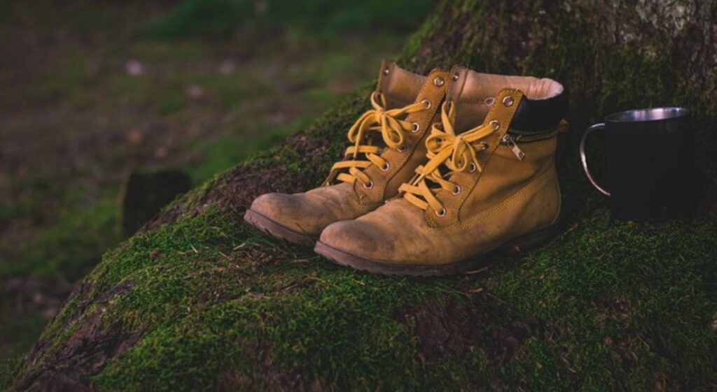 Protect Your Leather Shoes from White Fungus: Simple Steps for Rainy Days