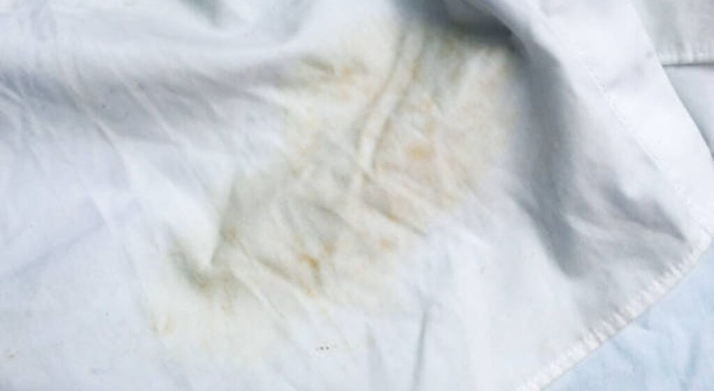 Simple Steps to Prevent Mold in Clothes Using Everyday Items