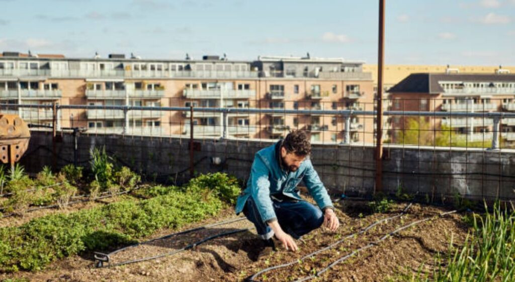 The Role of Permaculture in Eco-Friendly Gardening: A Newbie’s Guide