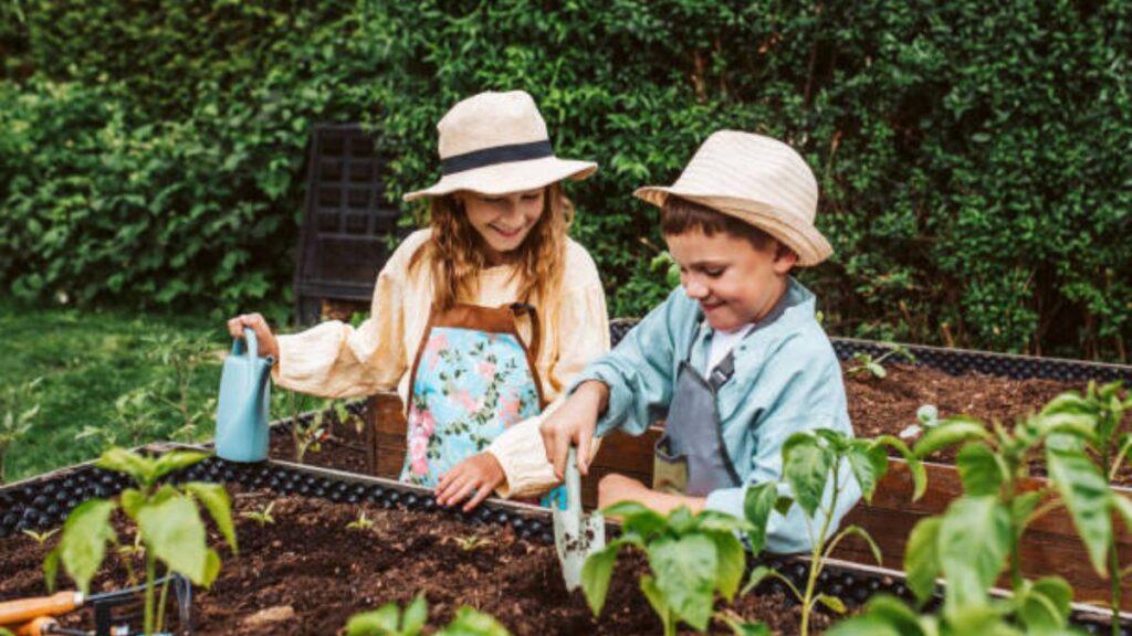 Efficient Gardening: Water-Wise Strategies for a Greener, Drought-Resilient Garden