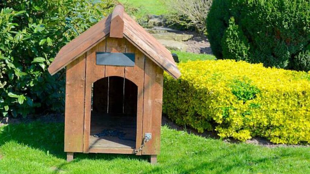 Garden Dog House Guide: Building a Natural Haven for Your Pet