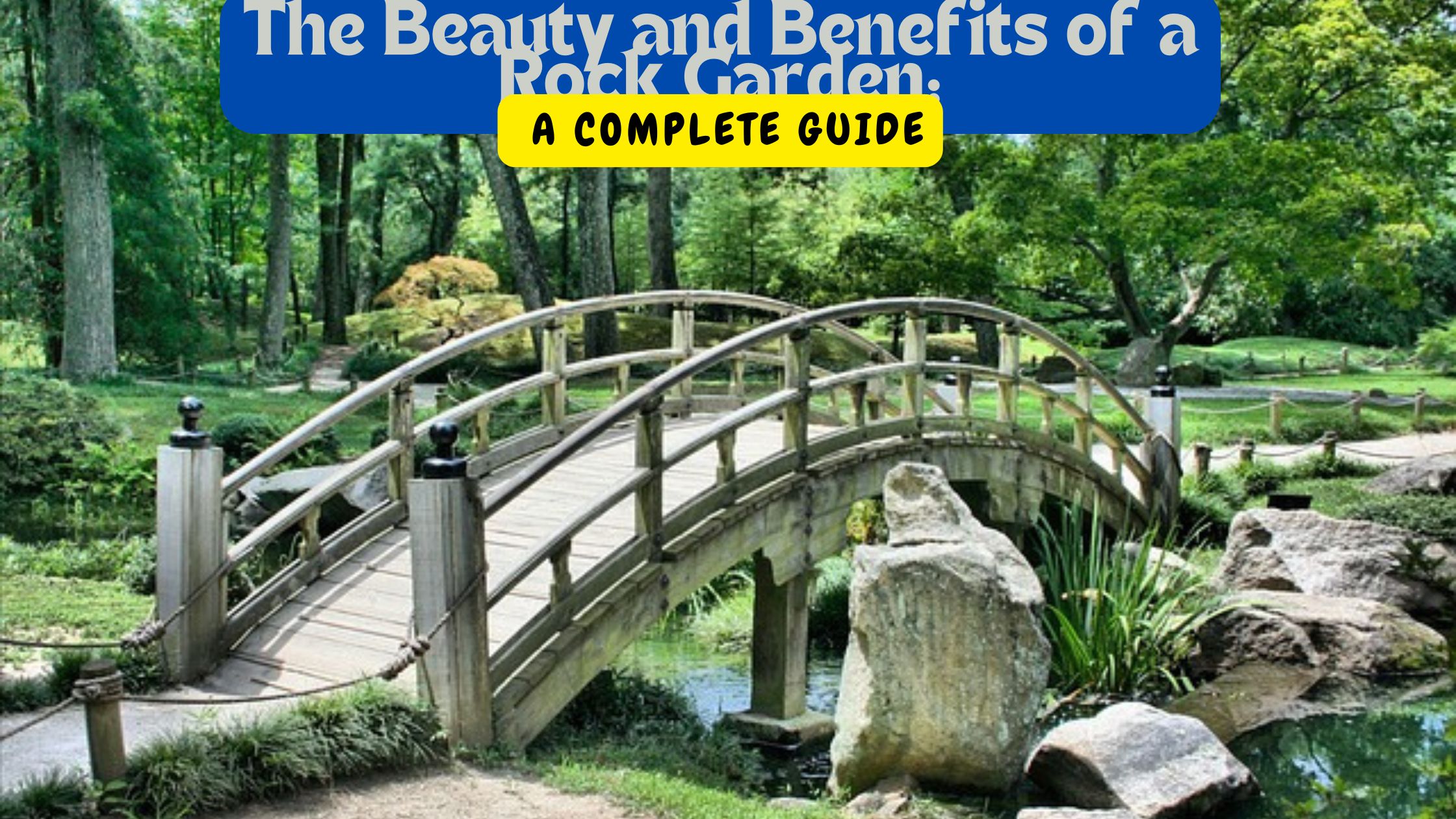 The Beauty and Benefits of a Rock Garden: A Complete Guide