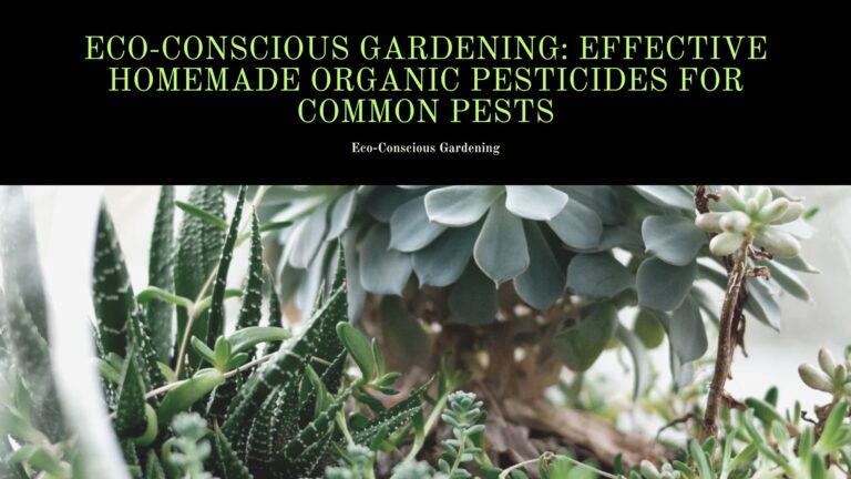 Eco-Conscious Gardening: Effective Homemade Organic Pesticides for Common Pests