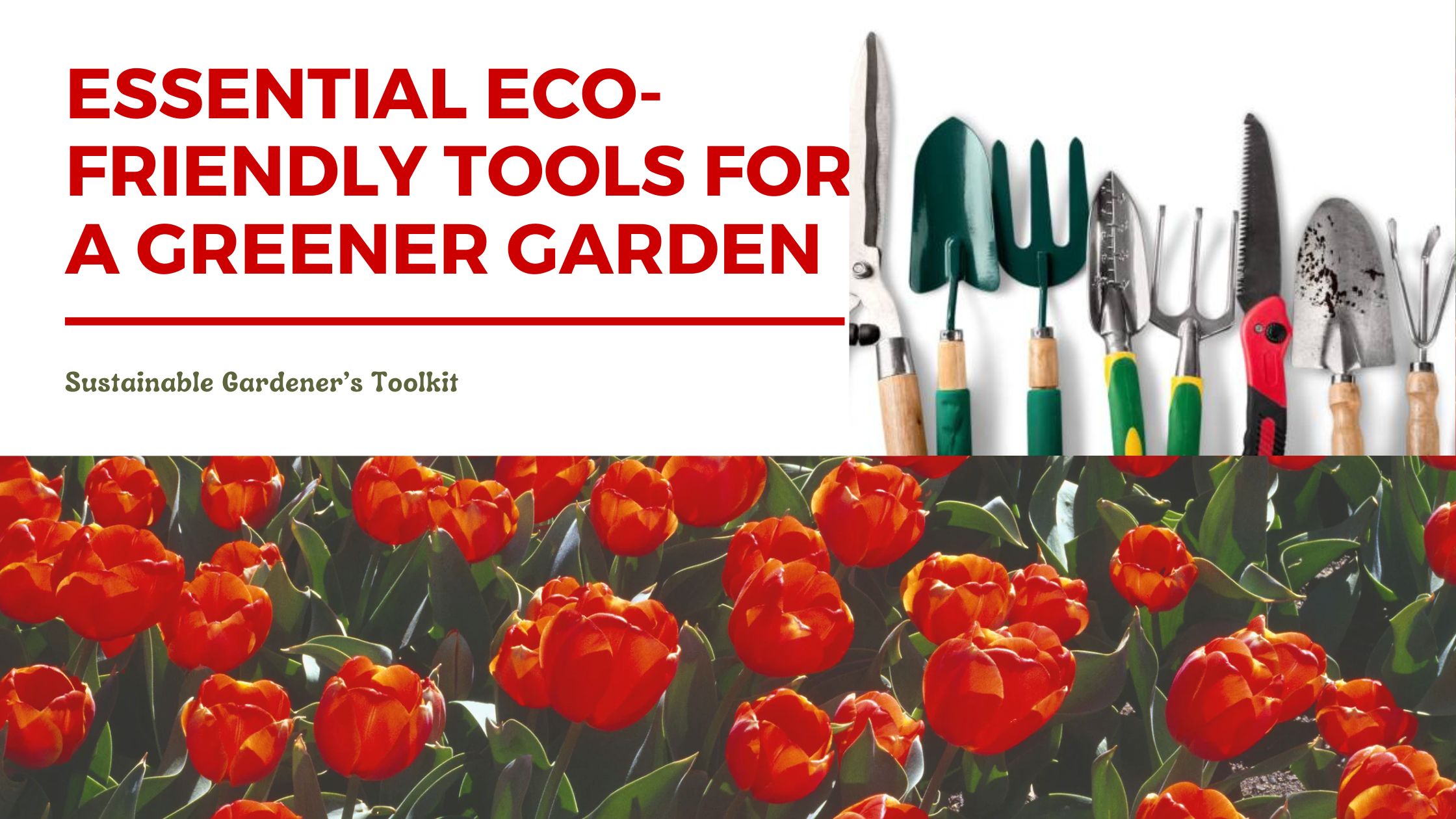 Essential Eco-Friendly Tools for a Greener Garden