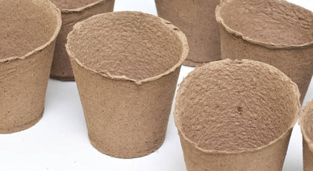 Eco-Conscious Gardening: Exploring the Benefits of Biodegradable Pots