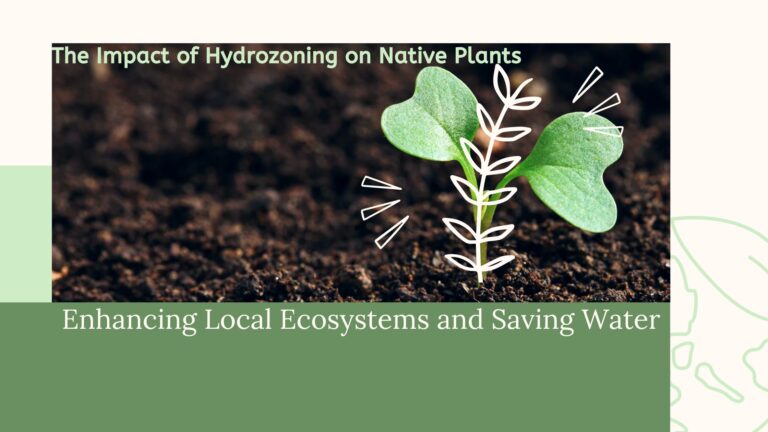 The Impact of Hydrozoning on Native Plants: Enhancing Local Ecosystems and Saving Water