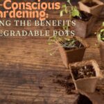 Eco-Conscious Gardening: Exploring the Benefits of Biodegradable Pots