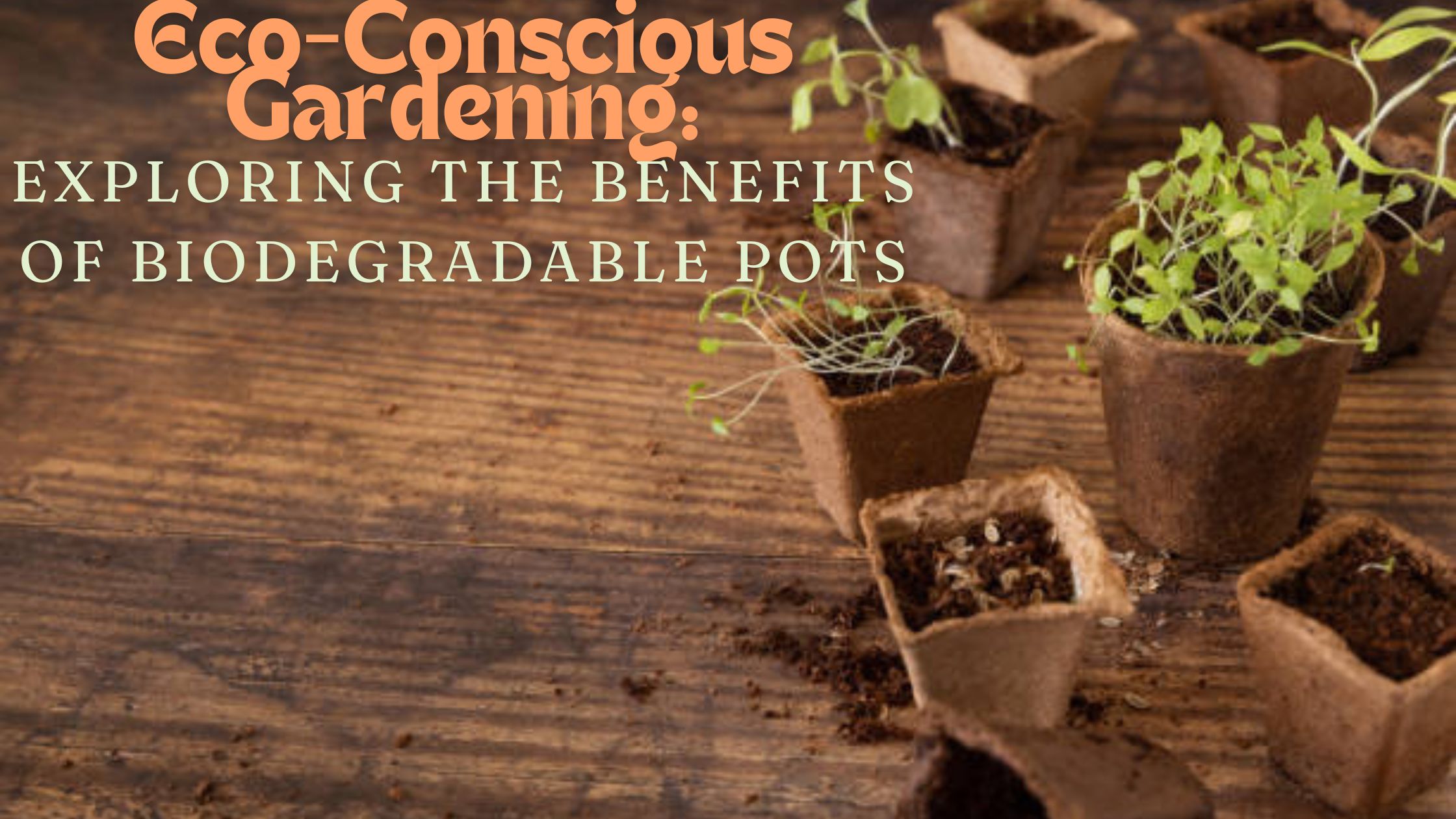 Eco-Conscious Gardening: Exploring the Benefits of Biodegradable Pots